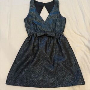 Parker Graphite Mini Dress